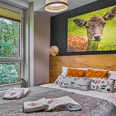 Apartament Spa 04 Resort Kozubnik Blisko Szczyrk - 5D Apartamenty Porąbka 外观 照片